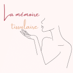 La mémoire tissulaire : lorsque nos cellules n’oublient pas